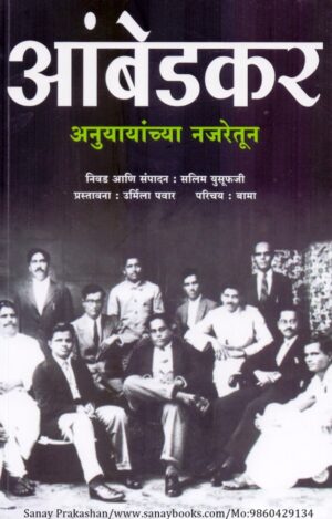 ambedkar-anuyayanchya-najretun-book-cover-01