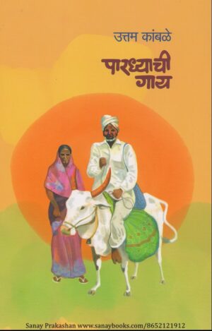 pardhyachi-gay-book-cover-01