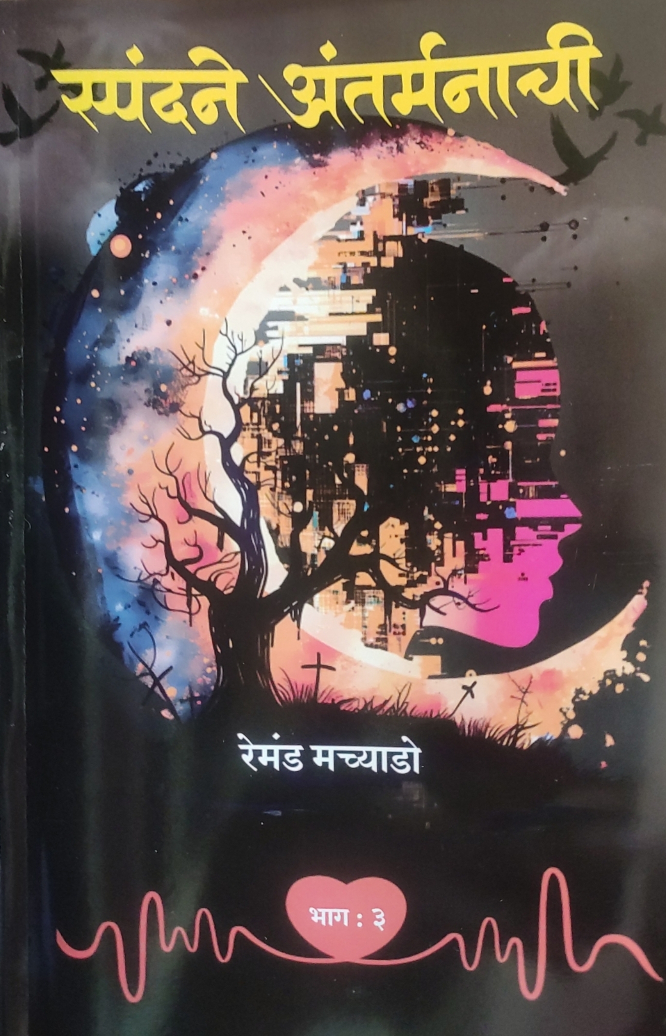 147_353_modified_image